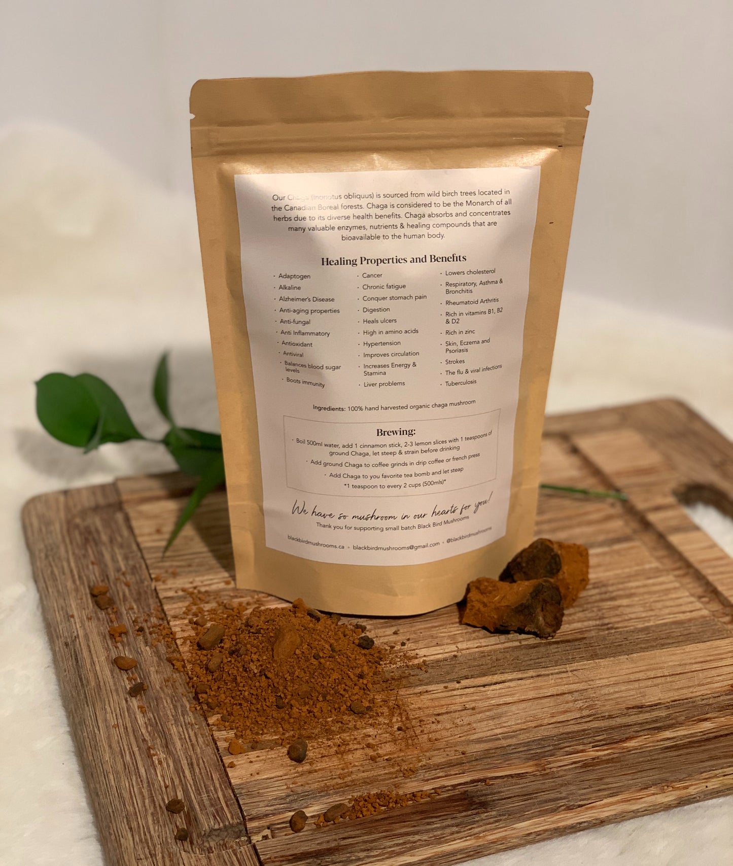 Chaga Mushroom