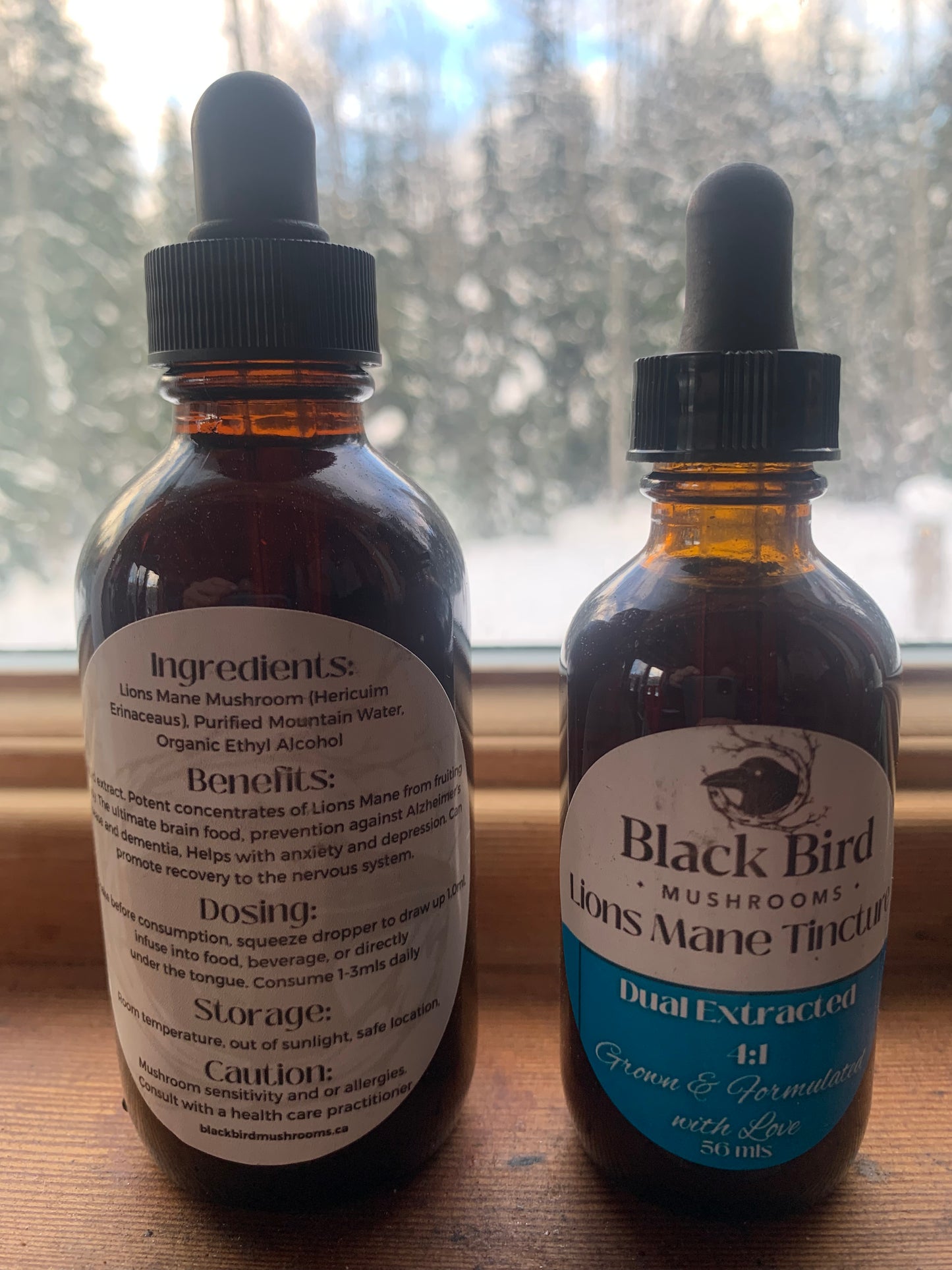 Lions Mane Tincture