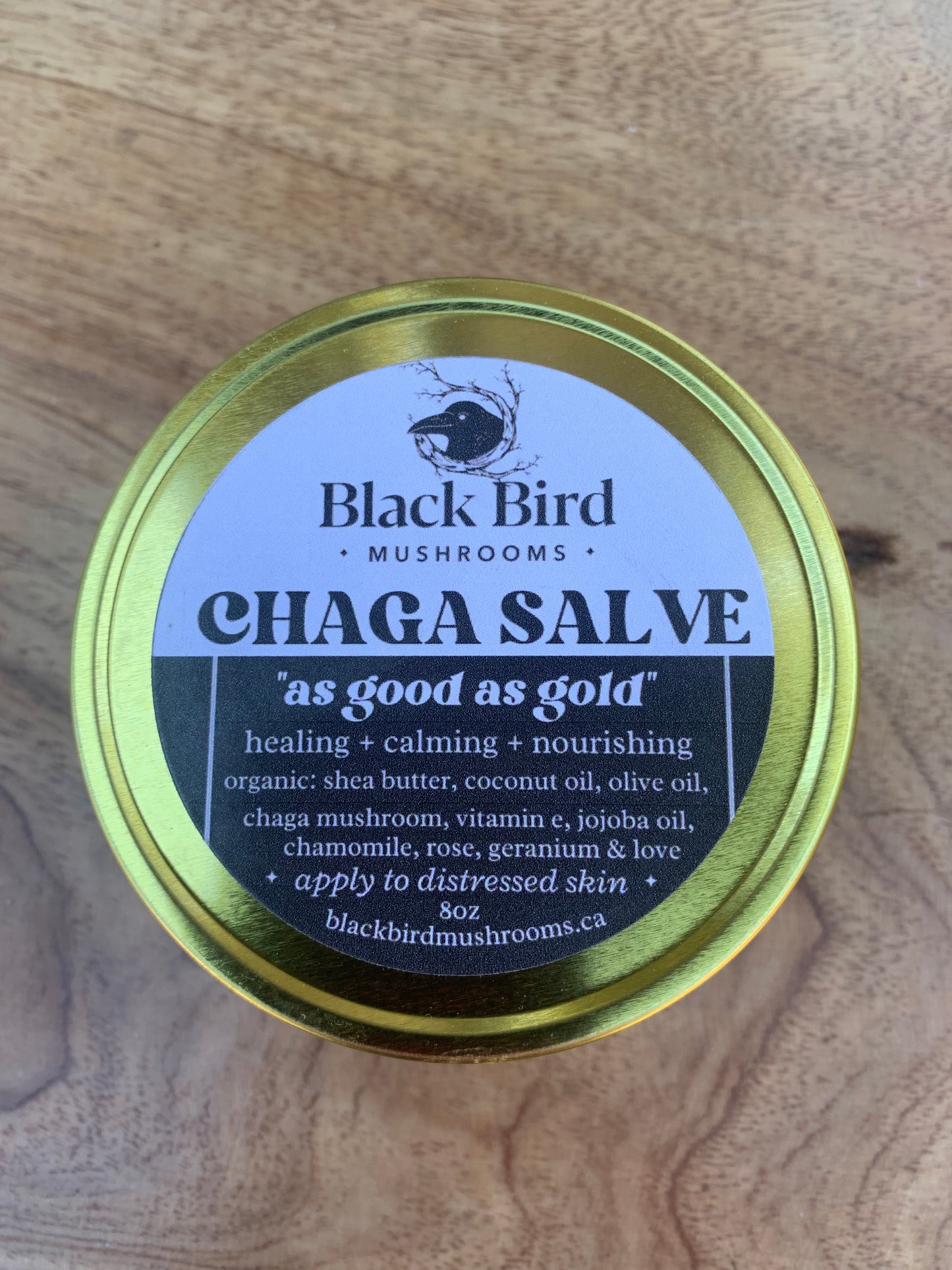 Chaga Salve