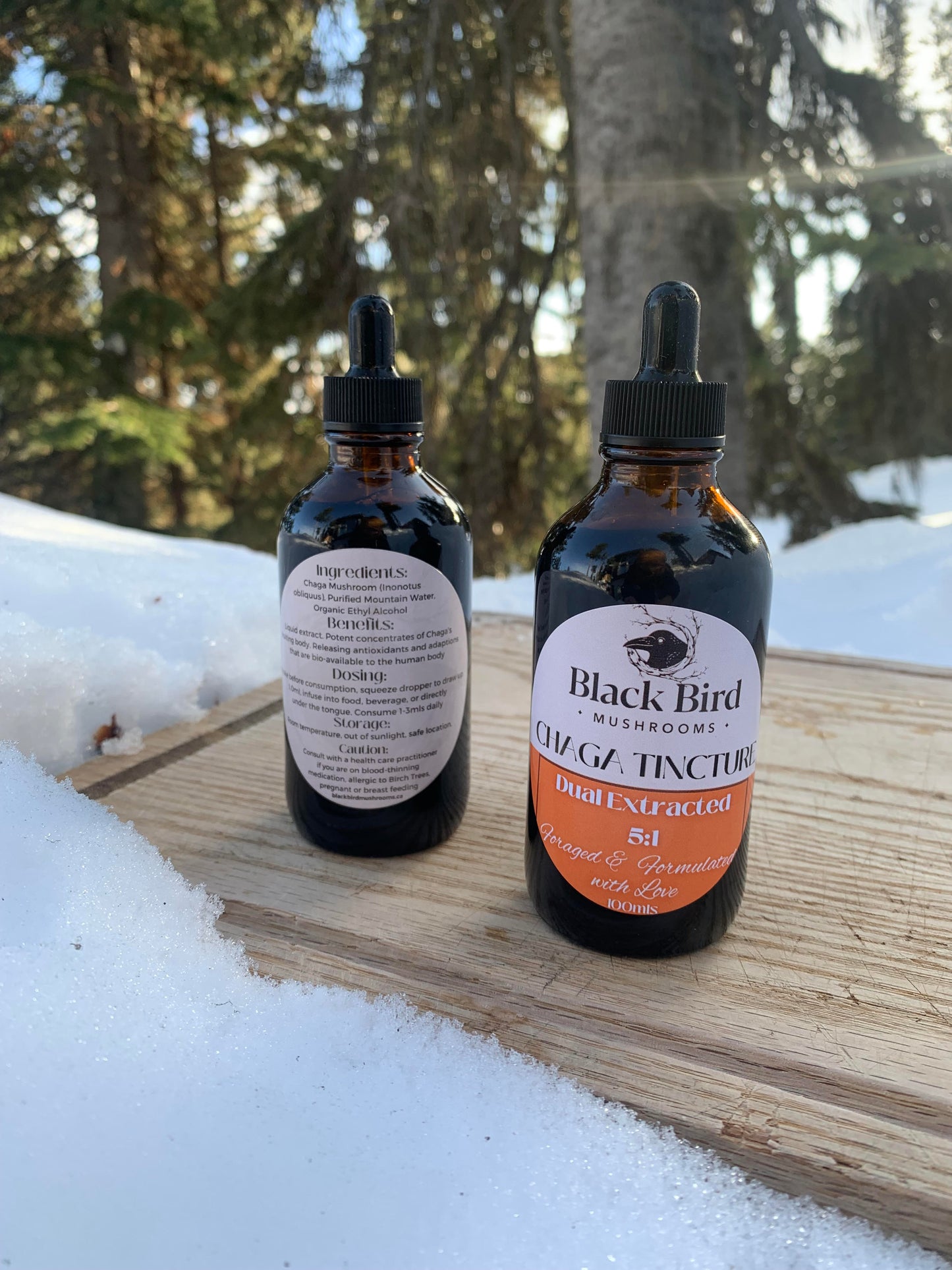 Chaga Tincture